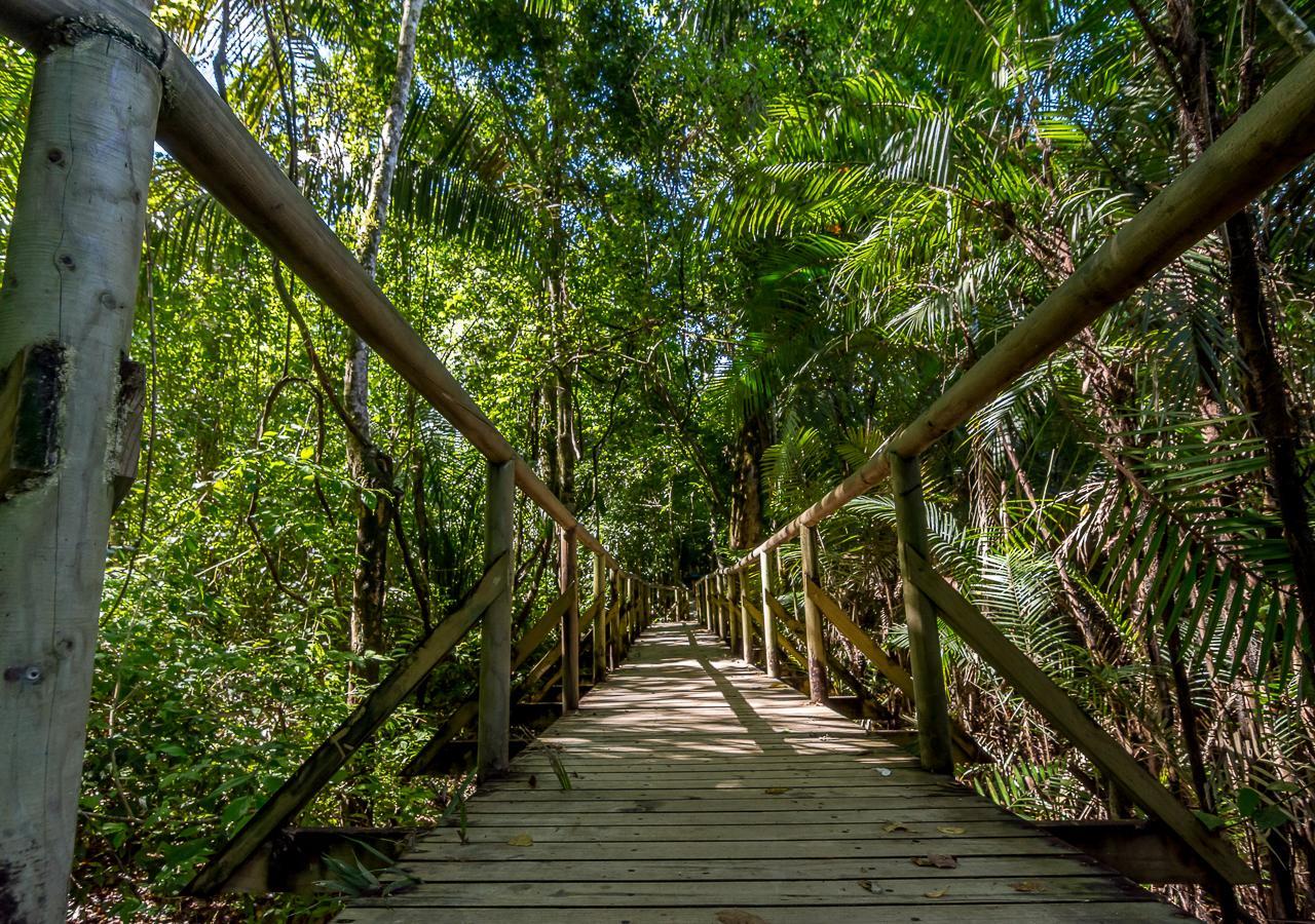 Hotel Manuel Antonio Eksteriør billede